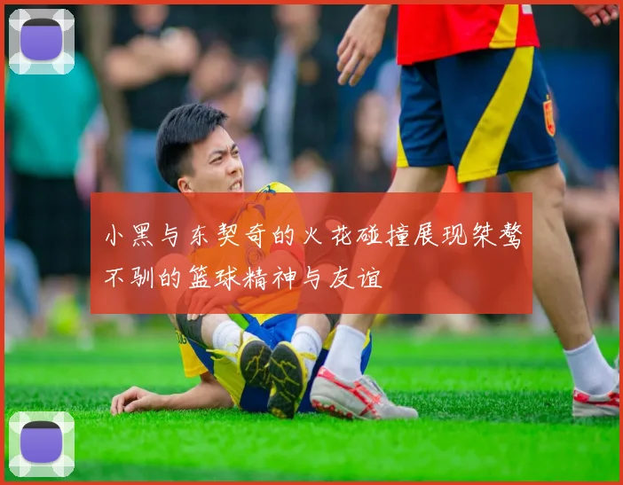 小黑与东契奇的火花碰撞展现桀骜不驯的篮球精神与友谊