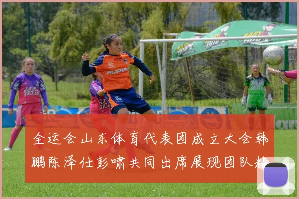 全运会山东体育代表团成立大会韩鹏陈泽仕彭啸共同出席展现团队精神与风采