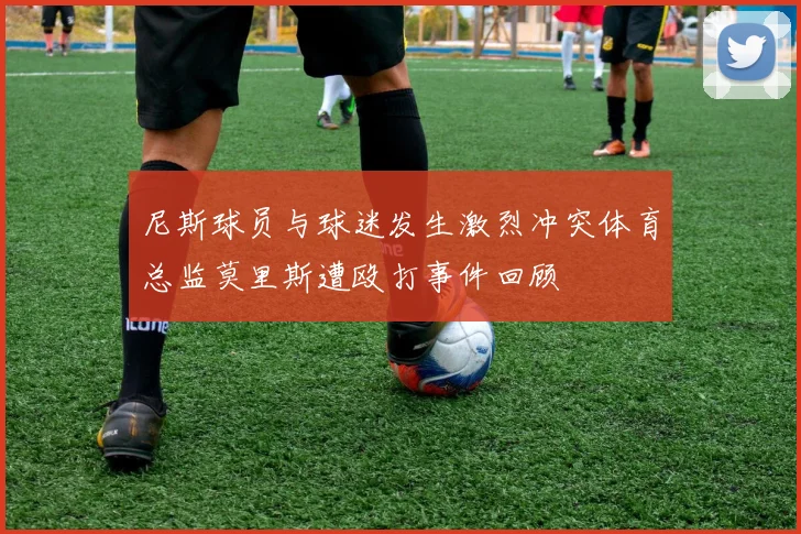 尼斯球员与球迷发生激烈冲突体育总监莫里斯遭殴打事件回顾