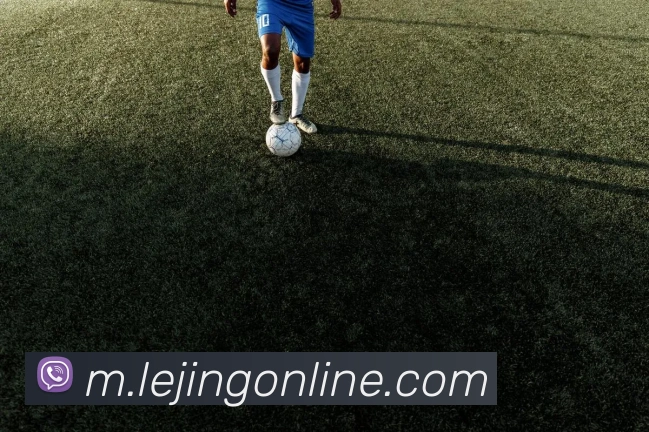 乐竟体育平台生态图